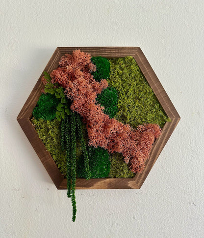 Honeycomb Moss Wall Art: Reindeer Moss in Wood Hexagon | USA - TARIFF FREE