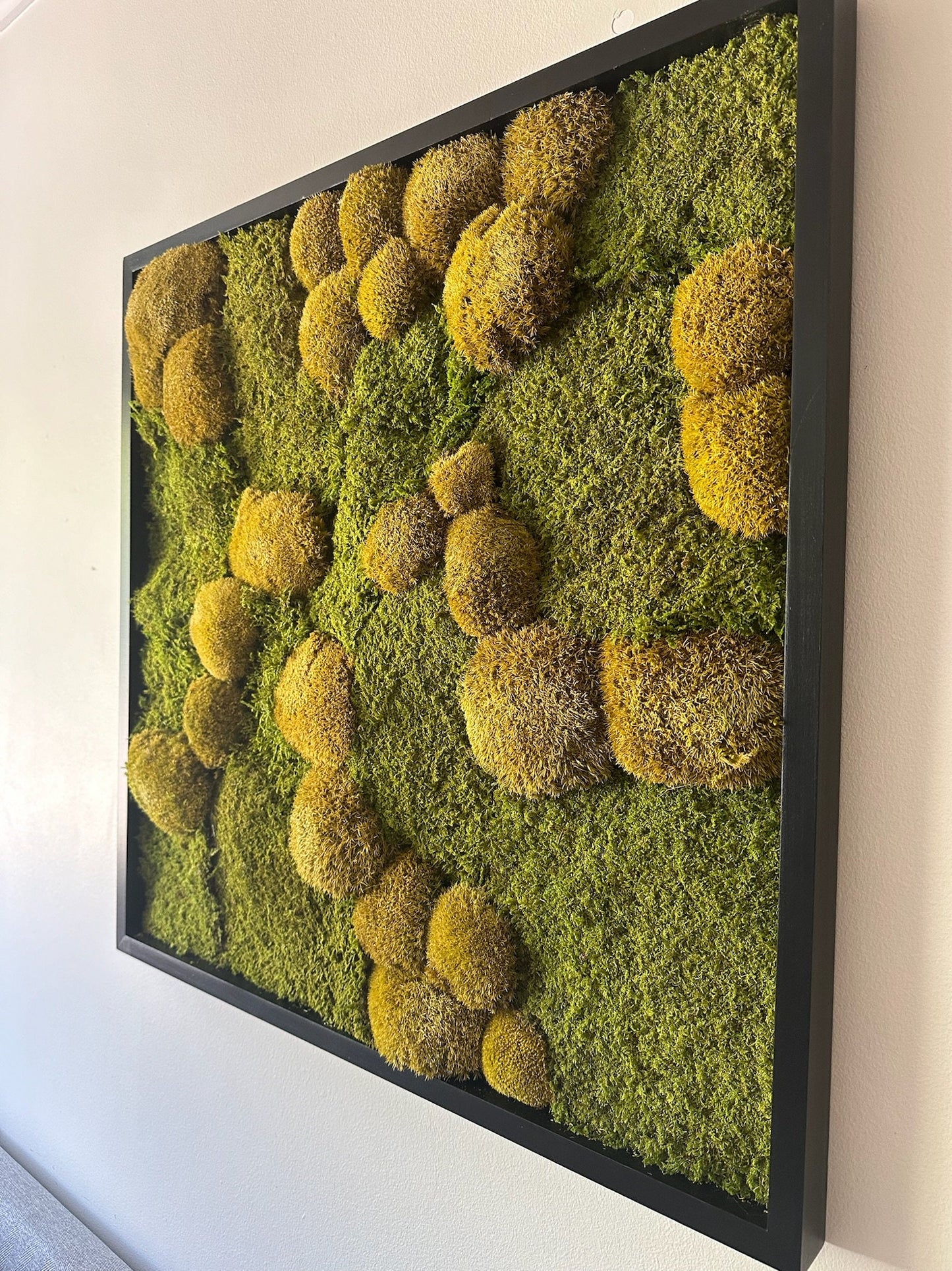 Preserved Moss Wall Art: 30x30" Wood Frame, Reindeer Moss | USA - TARIFF FREE