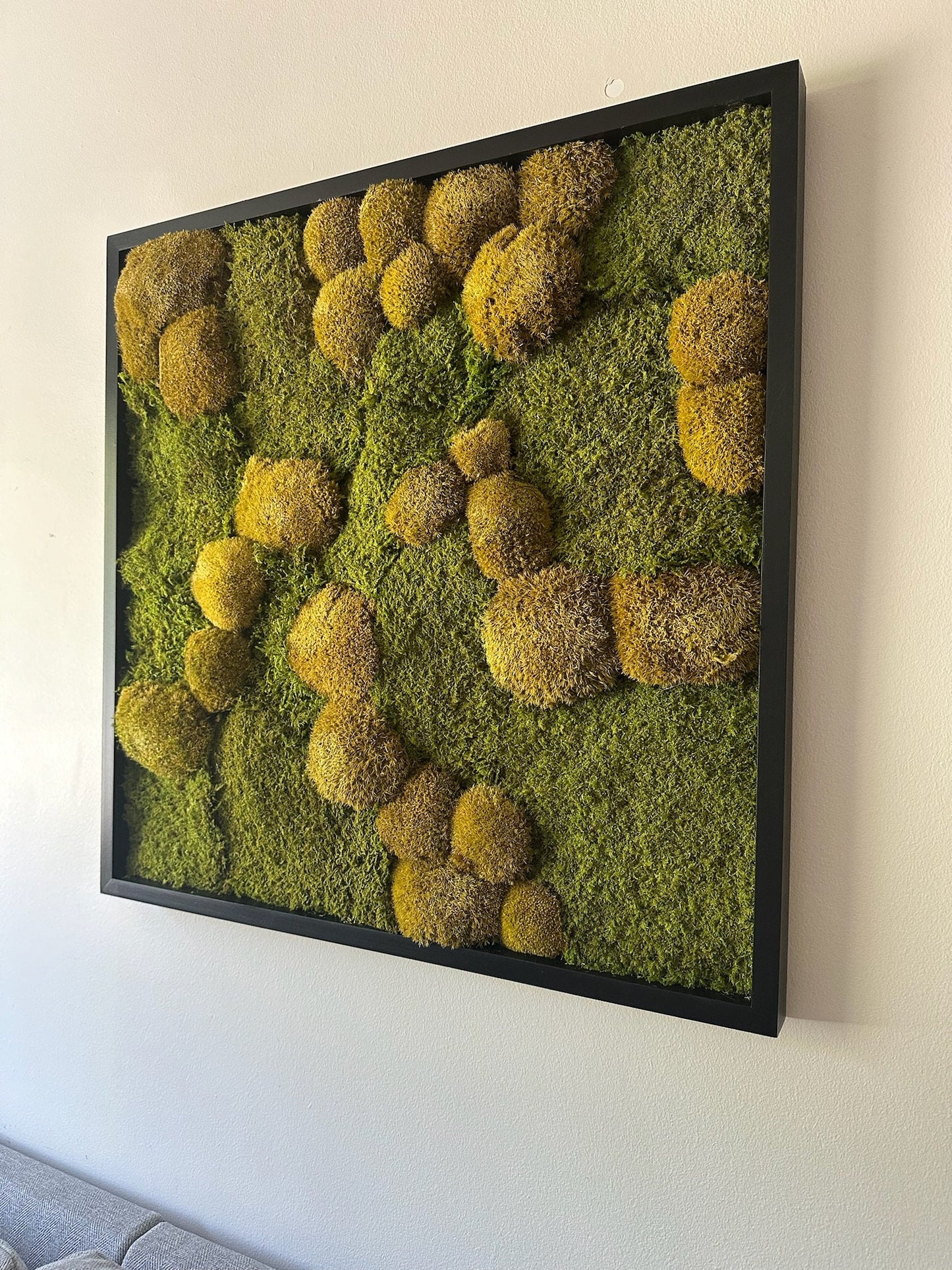 Moss Wall Art | Preserved Moss Art | Moss Wall Decor | Wood Frame Sets | 30 X 30" Square | Sheet Moss, Pole Moss can add Amaranthus and Fern