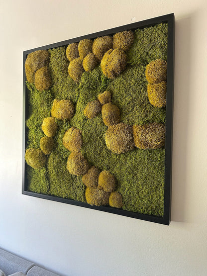 Moss Wall Art | Preserved Moss Art | Moss Wall Decor | Wood Frame Sets | 30 X 30" Square | Sheet Moss, Pole Moss can add Amaranthus and Fern