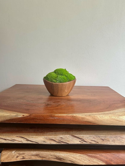 Preserved Pole Moss Centerpiece: Wood Bowl, Unique Moss Planter | USA - TARIFF FREE