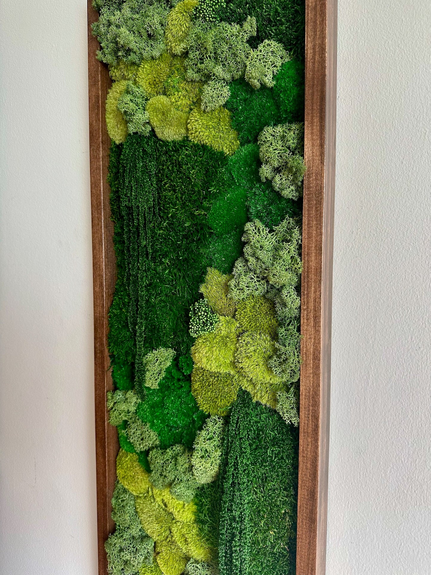 Preserved Moss Wall Art: Reindeer & Sheet Moss, Rectangle Wood Frame | USA - TARIFF FREE