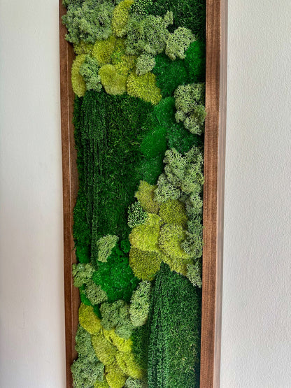 Preserved Moss Wall Art: Reindeer & Sheet Moss, Rectangle Wood Frame | USA - TARIFF FREE