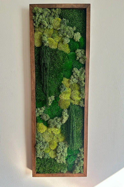 Moss Wall Art | Preserved Moss Art | Moss Wall Decor | Moss Wall Sets | Large Rectangle Single - Six Set | Green Reindeer Sheet + Pole Moss