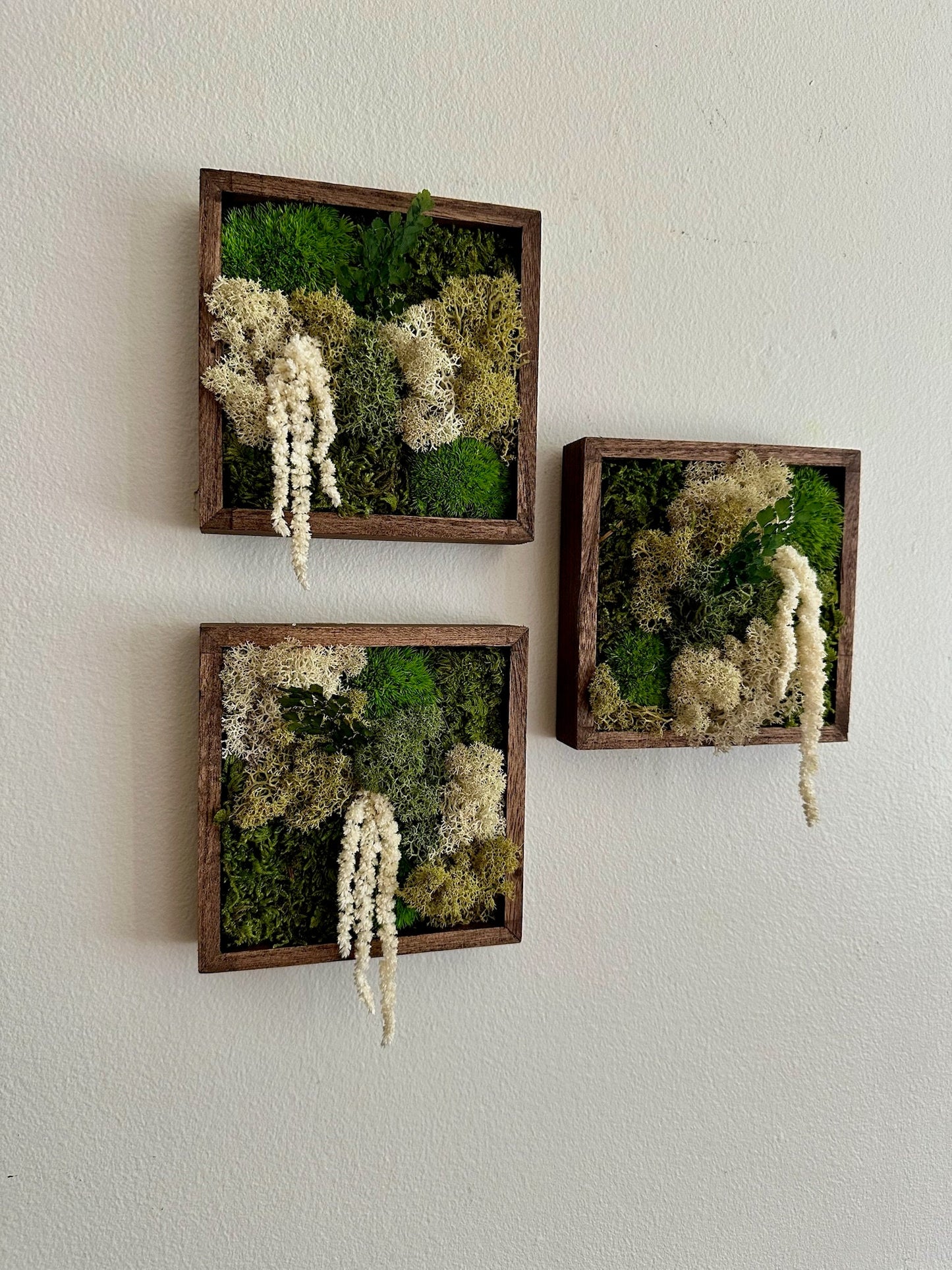 Moss Wall Art | Moss Decor | Sets 1 to 6 | 5" x 5" or 8" x 8" | Wood Square Frame | Preserved Moss | Pole, Sheet and Reindeer Moss | Gift