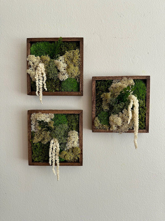 Moss Wall Art | Moss Decor | Sets 1 to 6 | 5" x 5" or 8" x 8" | Wood Square Frame | Preserved Moss | Pole, Sheet and Reindeer Moss | Gift