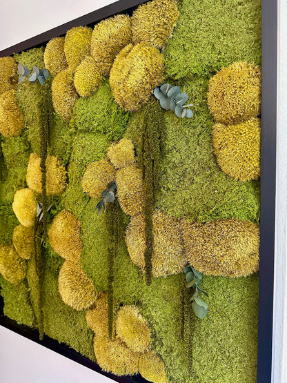 Preserved Moss Wall Art: 30x30" Wood Frame, Reindeer Moss | USA - TARIFF FREE
