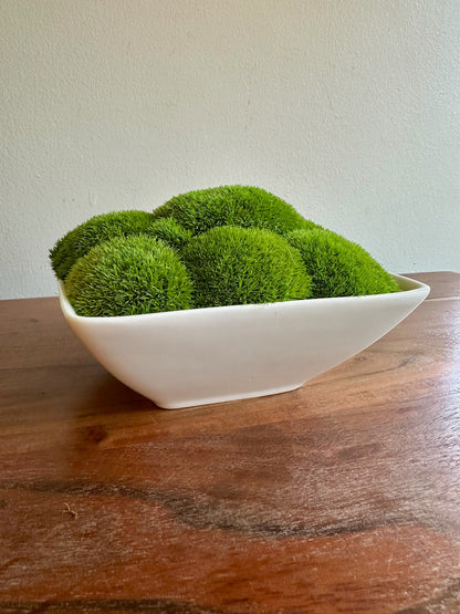Preserved Moss Bowl Centerpiece: Green Pole Moss & Fern | USA - TARIFF FREE