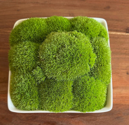 Preserved Moss Bowl Centerpiece: Green Pole Moss & Fern | USA - TARIFF FREE