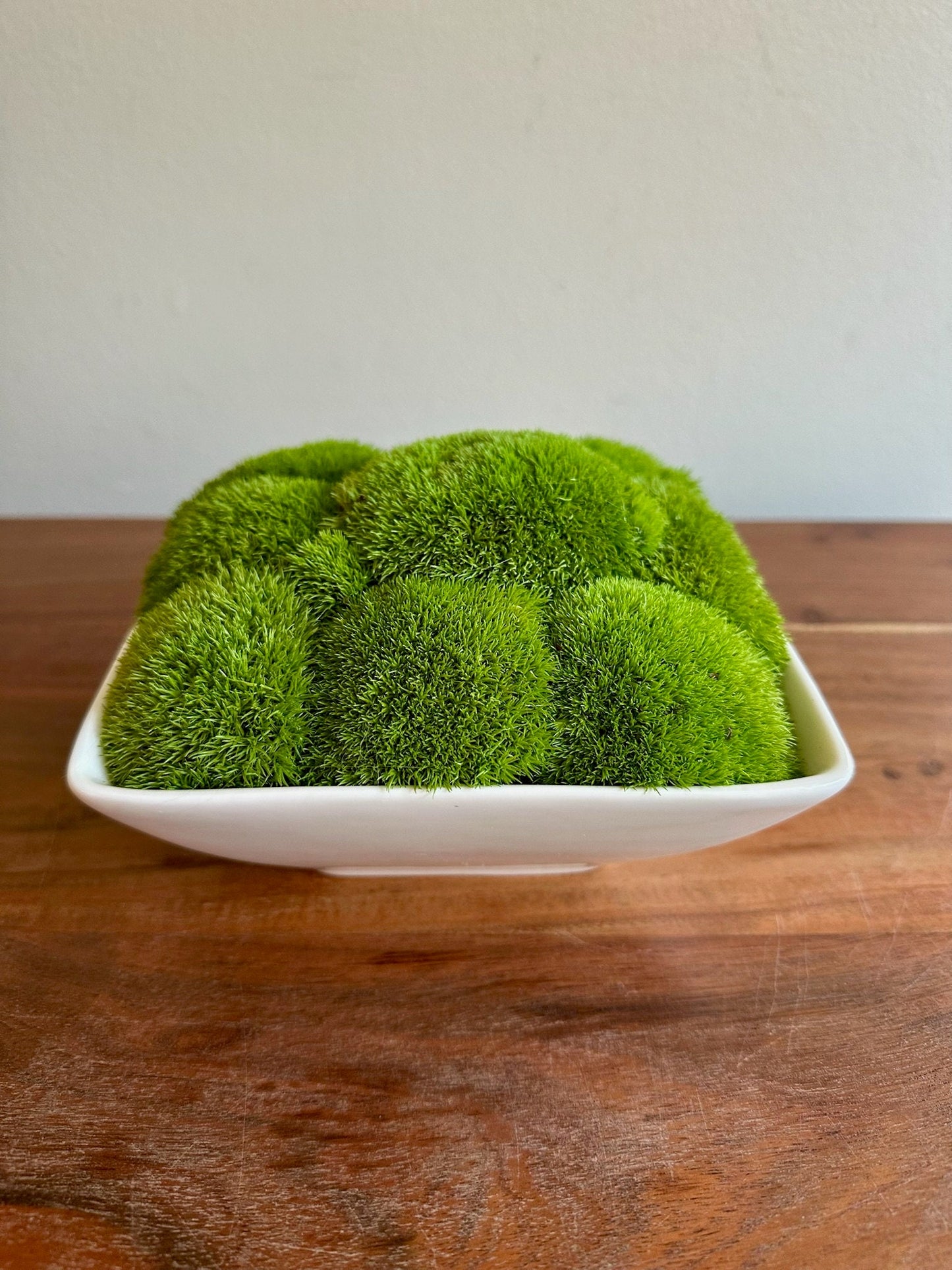 Preserved Moss Bowl Centerpiece: Green Pole Moss & Fern | USA - TARIFF FREE