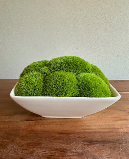 Preserved Moss Bowl Centerpiece: Green Pole Moss & Fern | USA - TARIFF FREE