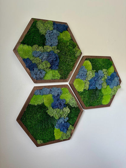 Honeycomb Moss Wall Art: Reindeer & Sheet Moss in Wood Hexagon | USA - TARIFF FREE