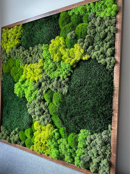 Moss Wall Art | Preserved Moss | Wall Decor | Wood Frames | 30" X 30" or 15" x 30", 1 to Set of 4 | Green Reindeer Moss, Sheet, Pole Moss