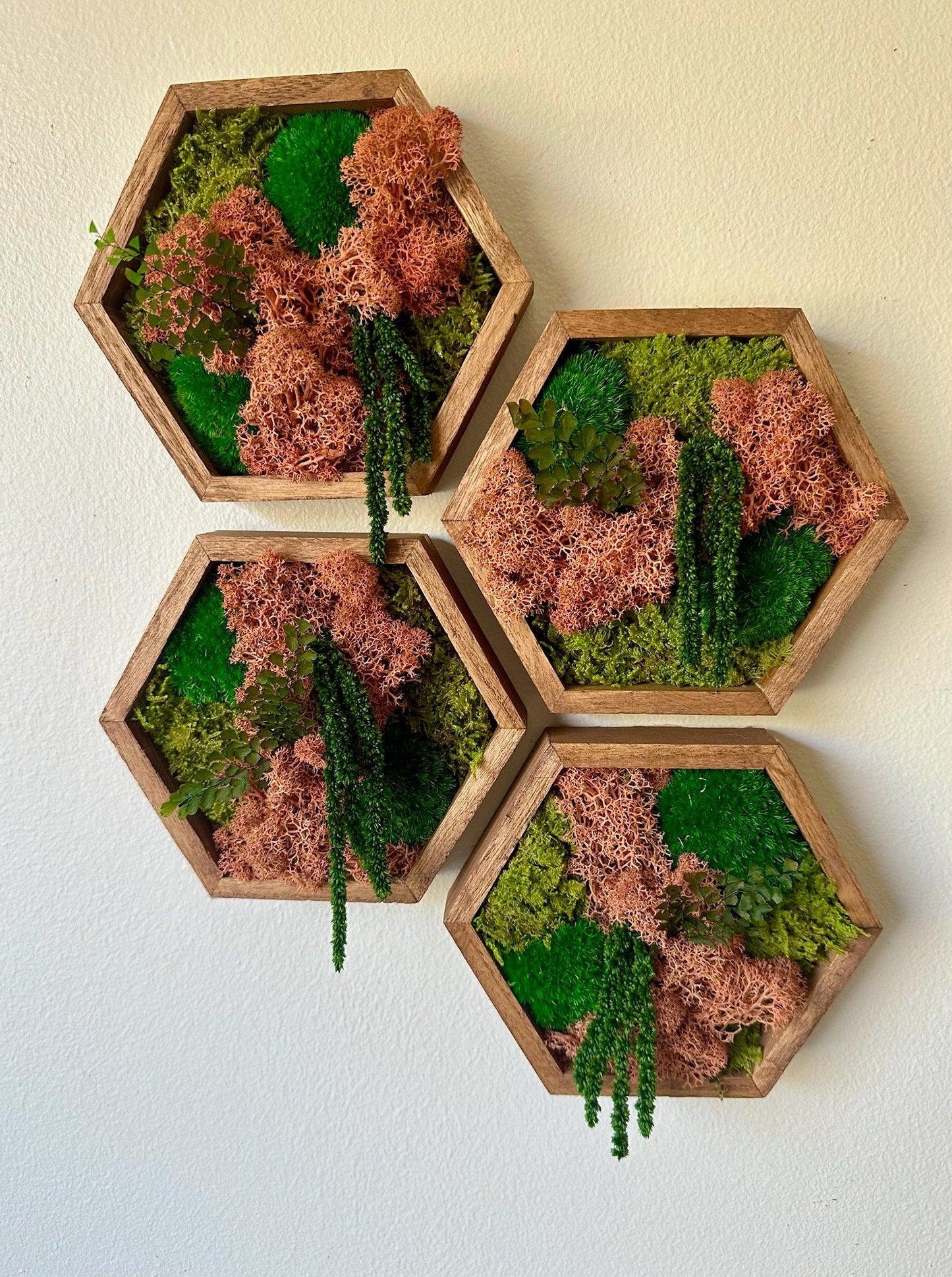 Honeycomb Moss Wall Art: Reindeer Moss in Wood Hexagon | USA - TARIFF FREE