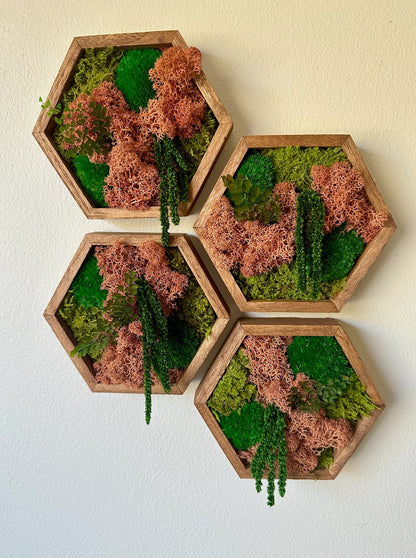 Honeycomb Moss Wall Art: Reindeer Moss in Wood Hexagon | USA - TARIFF FREE