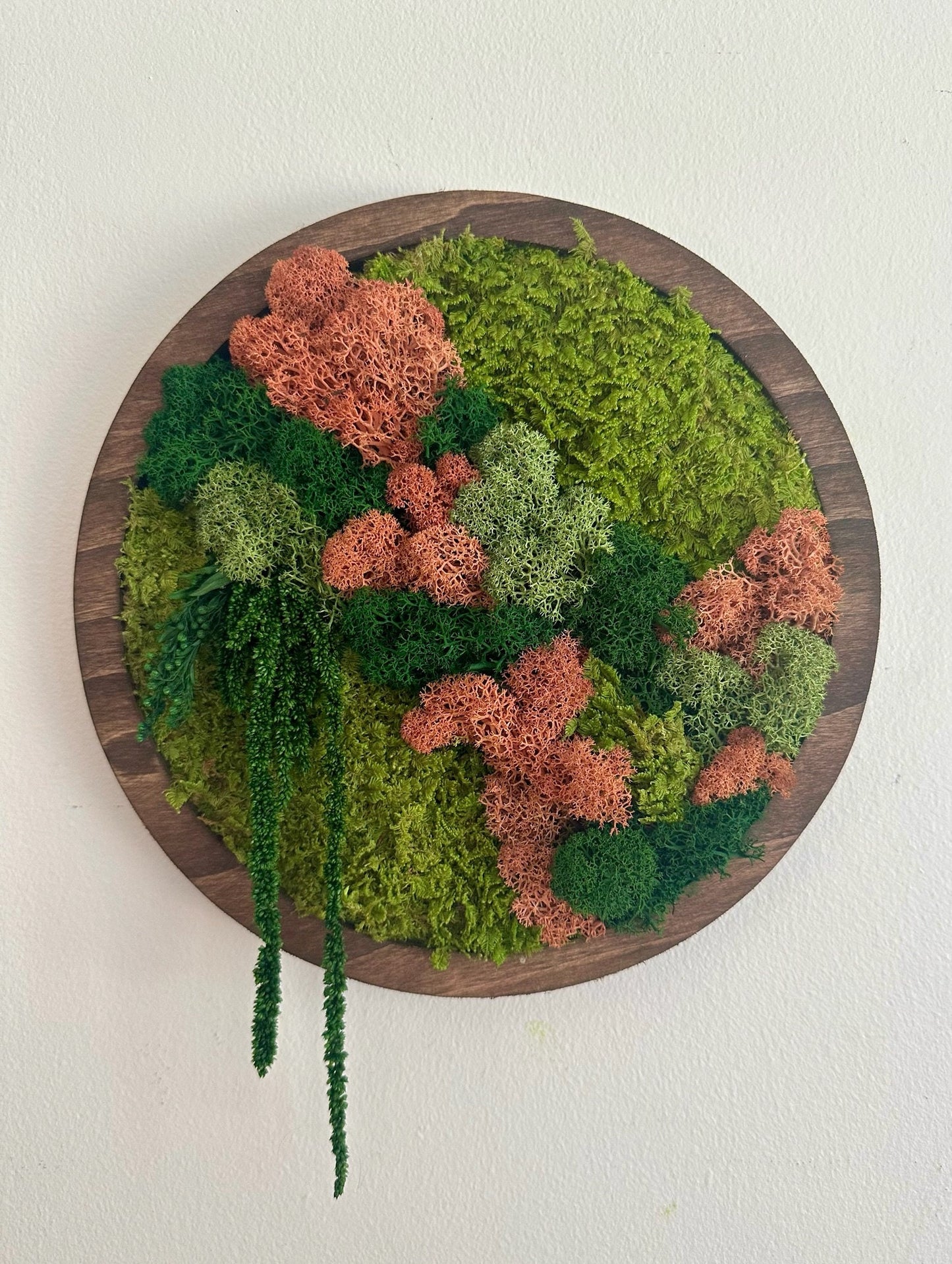 Preserved Moss Wall Art: Reindeer & Sheet Moss Circle Frame (10") | USA - TARIFF FREE