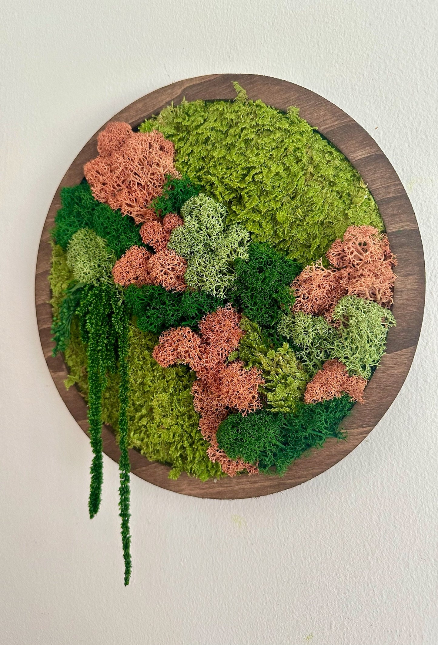 Preserved Moss Wall Art: Reindeer & Sheet Moss Circle Frame (10") | USA - TARIFF FREE