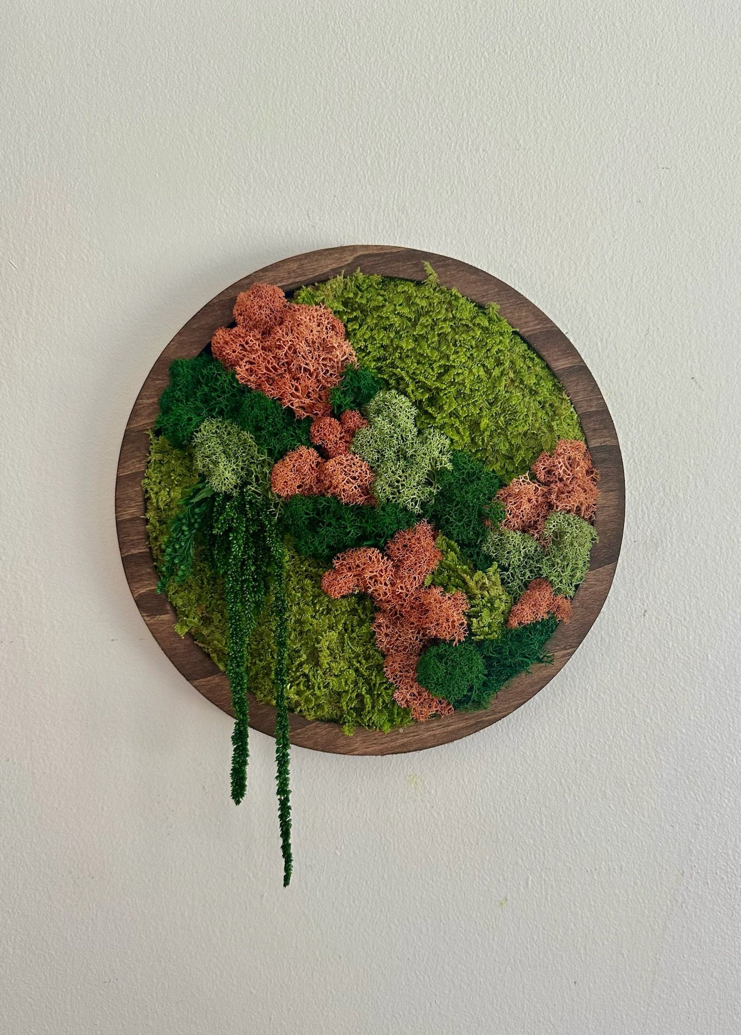 Preserved Moss Wall Art: Reindeer & Sheet Moss Circle Frame (10") | USA - TARIFF FREE