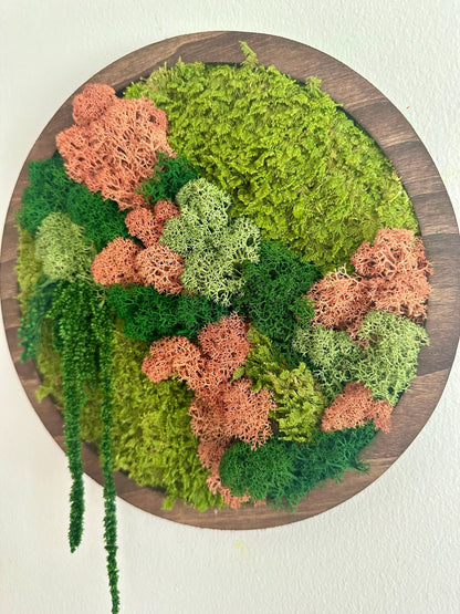 Preserved Moss Wall Art: Reindeer & Sheet Moss Circle Frame (10") | USA - TARIFF FREE