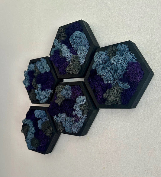 Moss Wall Art  | Wood Hexagon  with Moss   |  Home  Decor  | Sets 1 to 12,  5” x 6”  | Reindeer Moss | Purple Blue and Grey