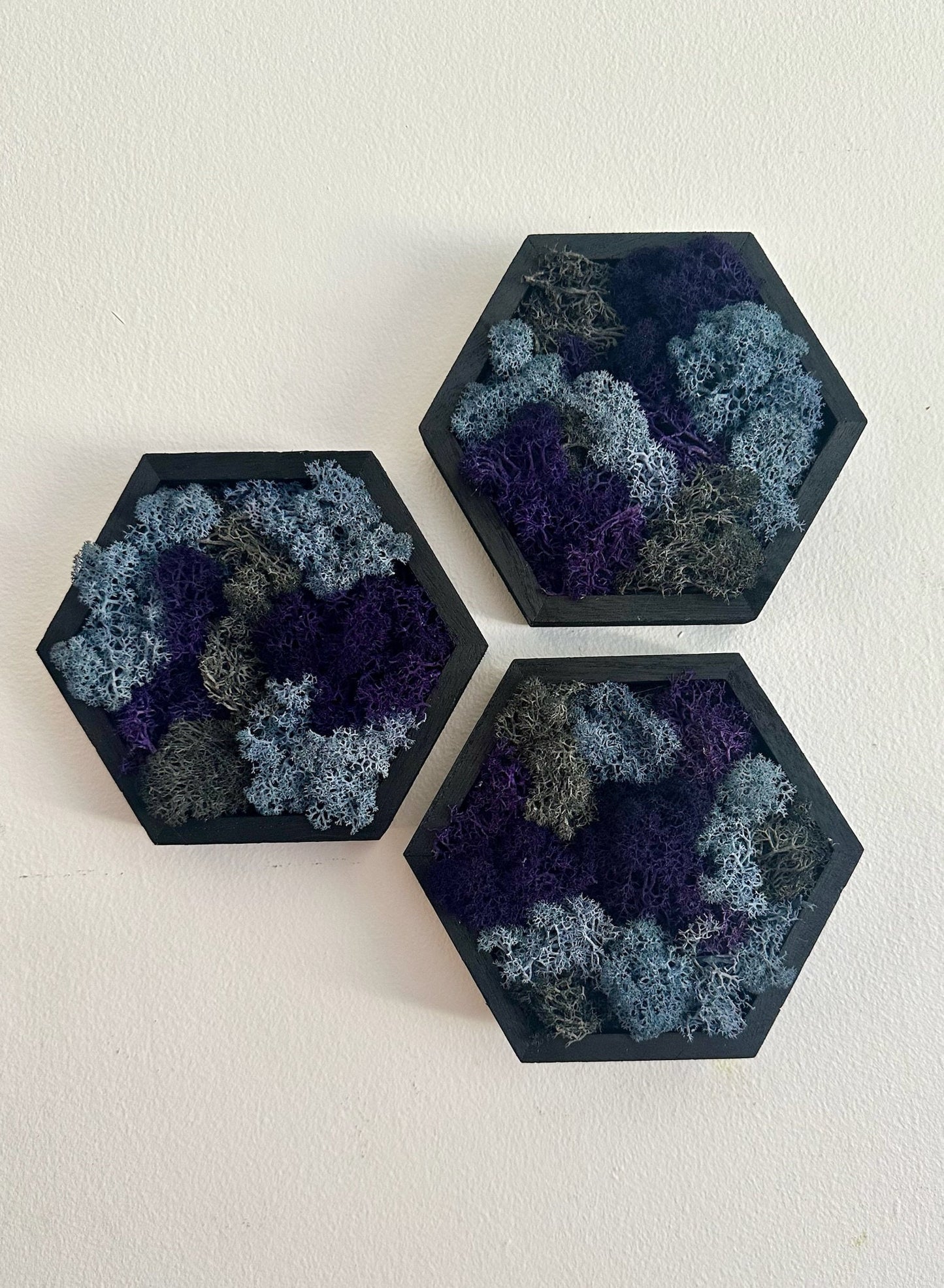 Moss Wall Art  | Wood Hexagon  with Moss   |  Home  Decor  | Sets 1 to 12,  5” x 6”  | Reindeer Moss | Purple Blue and Grey