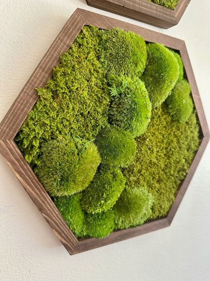 Honeycomb Moss Wall Art: Wood Hexagon Frame, Preserved Reindeer Moss | USA - TARIFF FREE