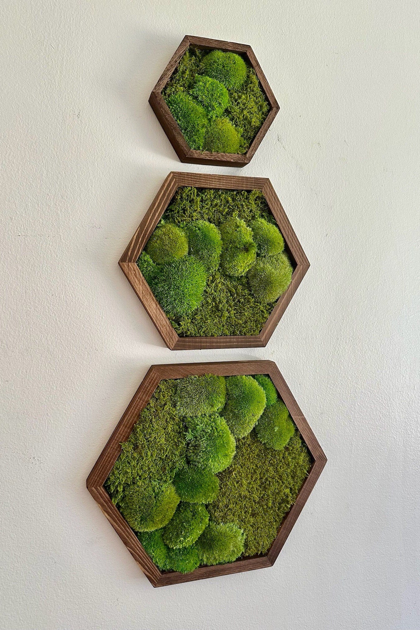 Honeycomb Moss Wall Art: Wood Hexagon Frame, Preserved Reindeer Moss | USA - TARIFF FREE