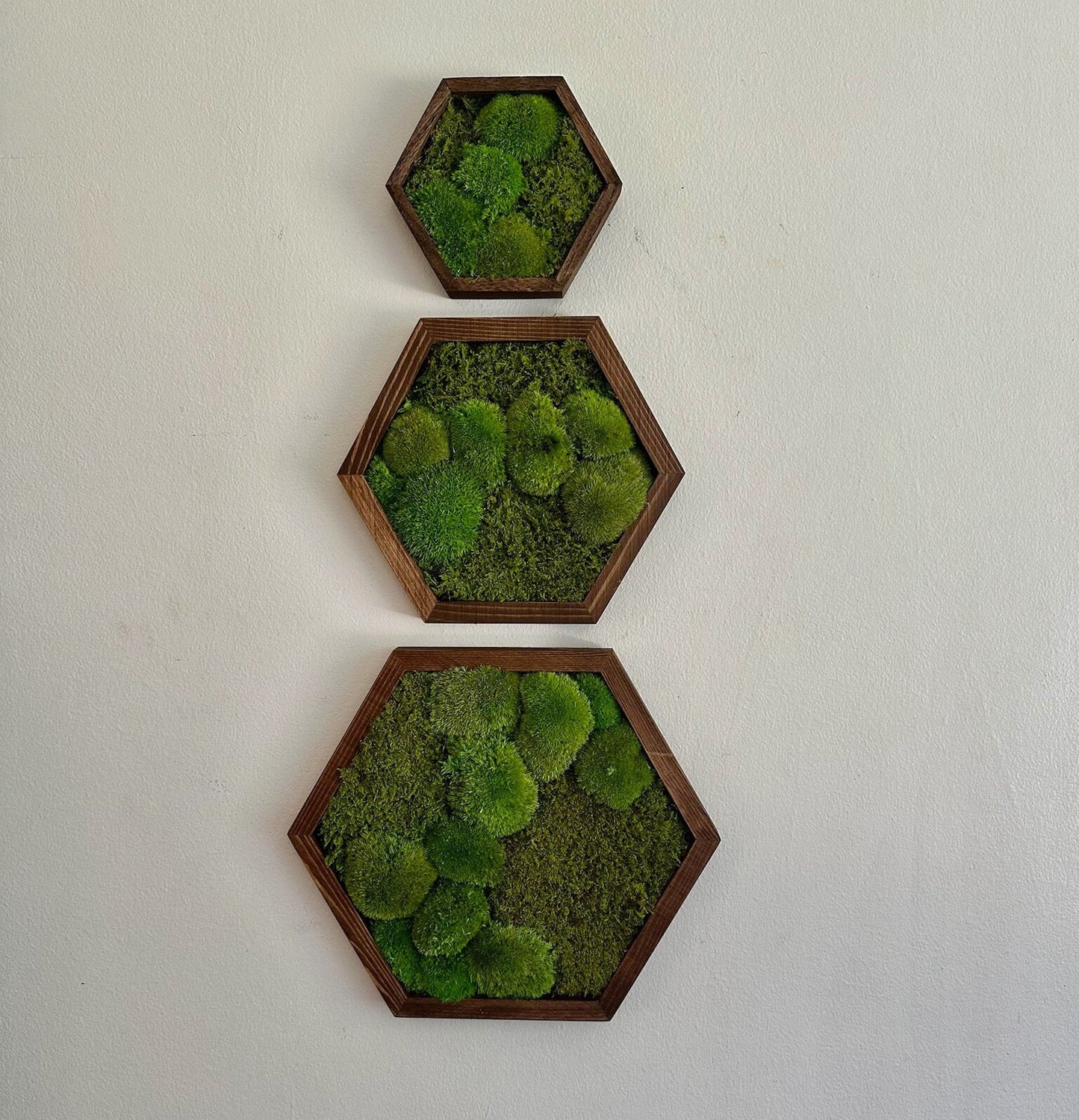 Honeycomb Moss Wall Art: Wood Hexagon Frame, Preserved Reindeer Moss | USA - TARIFF FREE