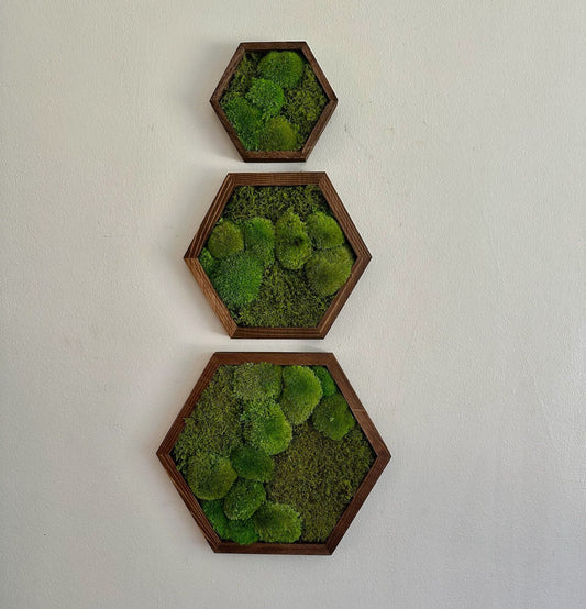 Honeycomb Moss Wall Art: Wood Hexagon Frame, Preserved Reindeer Moss | USA - TARIFF FREE