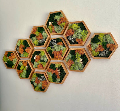 Honeycomb Moss Wall Art: Preserved Reindeer Moss, Wood Hexagon Frame | USA - TARIFF FREE