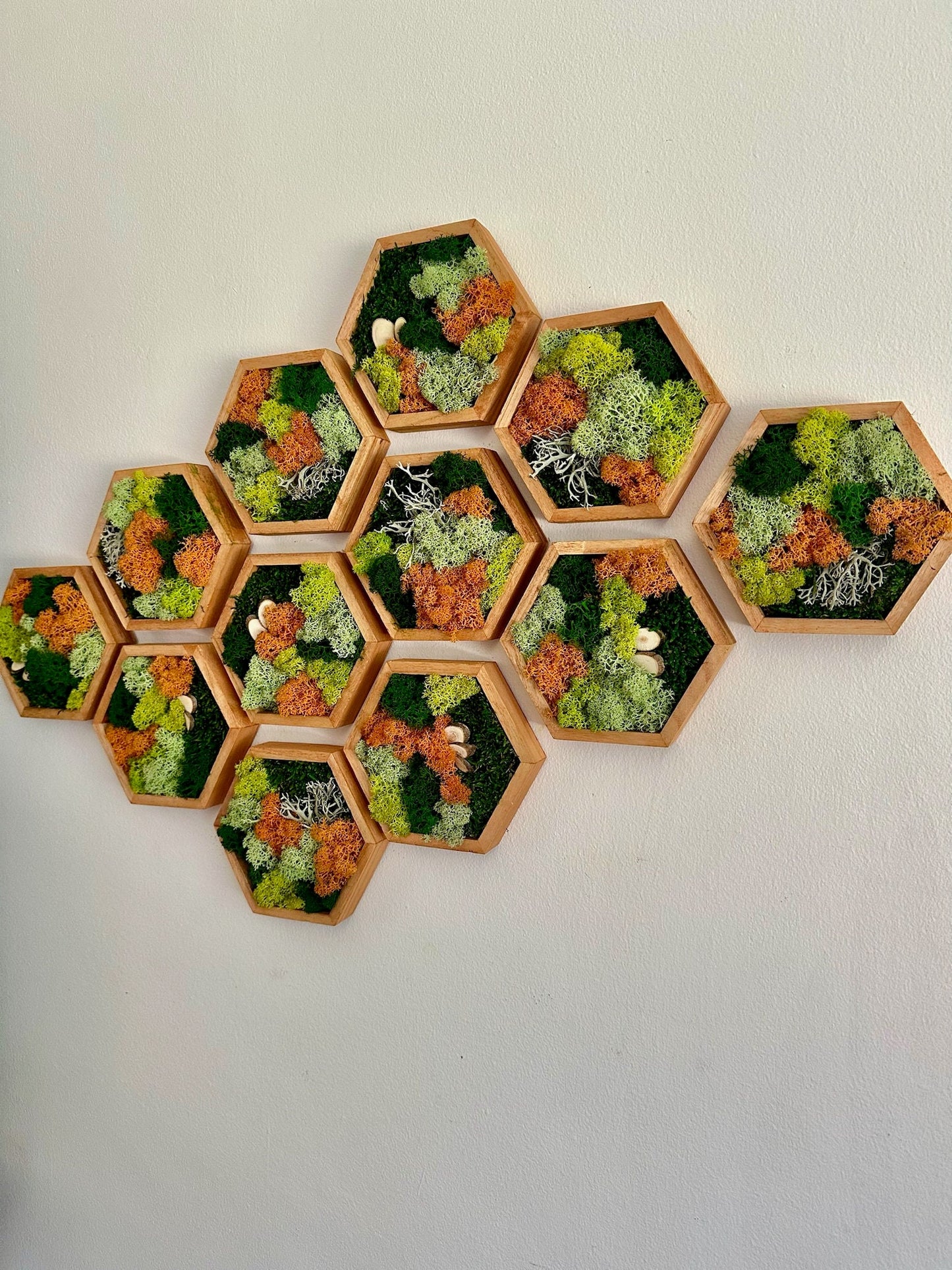 Honeycomb Moss Wall Art: Preserved Reindeer Moss, Wood Hexagon Frame | USA - TARIFF FREE