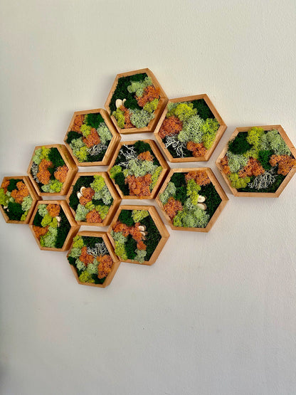 Honeycomb Moss Wall Art: Preserved Reindeer Moss, Wood Hexagon Frame | USA - TARIFF FREE