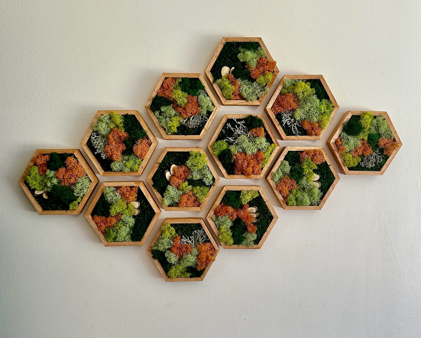 Honeycomb Moss Wall Art: Preserved Reindeer Moss, Wood Hexagon Frame | USA - TARIFF FREE