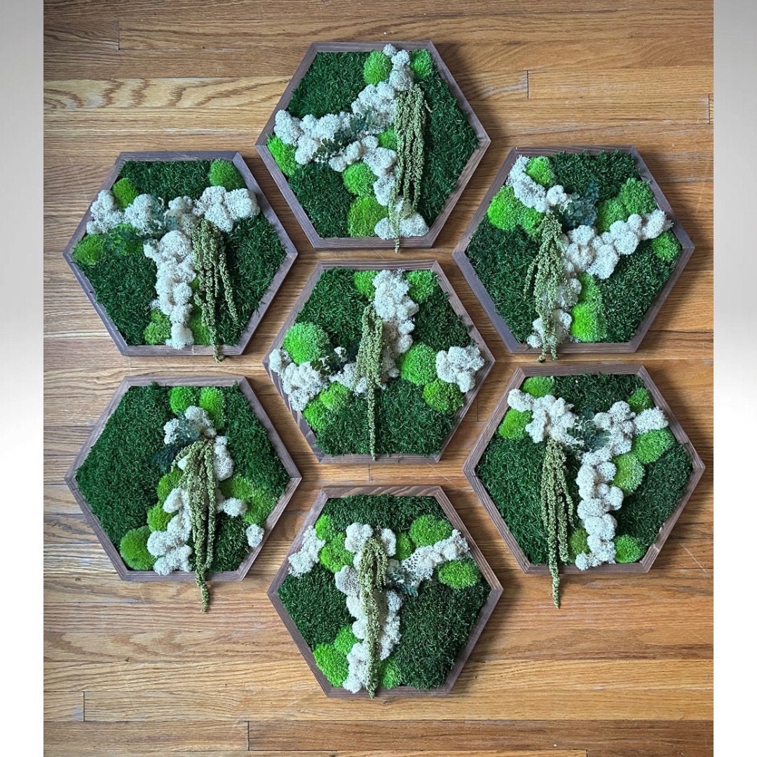 Honeycomb Moss Wall Art: Preserved Reindeer Moss & Amaranthus | USA - TARIFF FREE