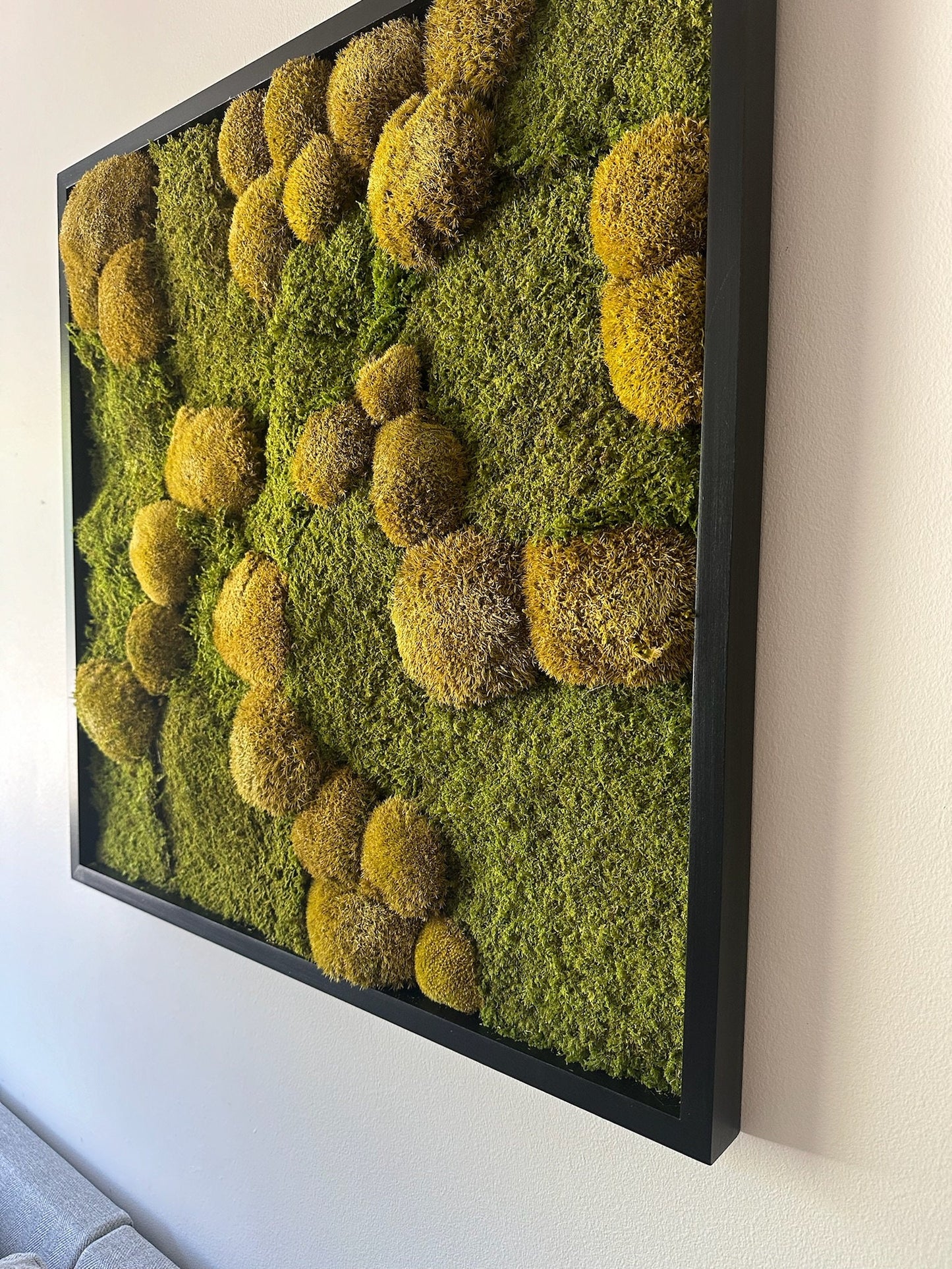 Preserved Moss Wall Art: 30x30" Wood Frame, Reindeer Moss | USA - TARIFF FREE