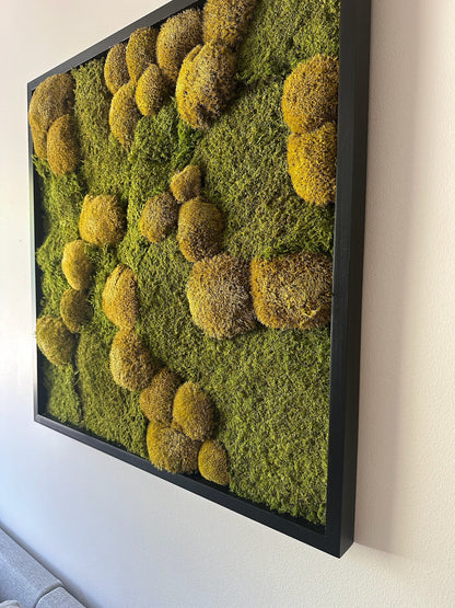 Preserved Moss Wall Art: 30x30" Wood Frame, Reindeer Moss | USA - TARIFF FREE