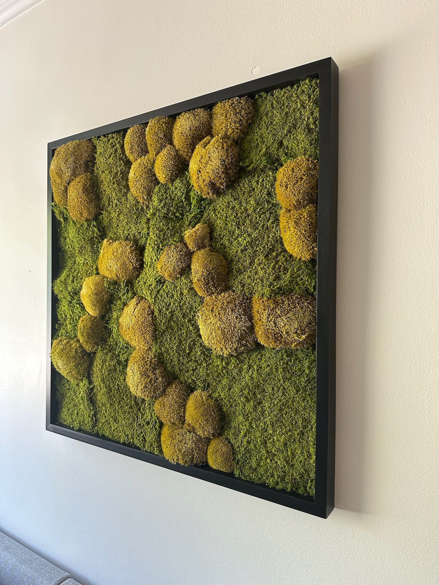 Preserved Moss Wall Art: 30x30" Wood Frame, Reindeer Moss | USA - TARIFF FREE