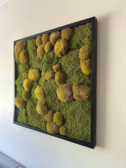 Preserved Moss Wall Art: 30x30" Wood Frame, Reindeer Moss | USA - TARIFF FREE