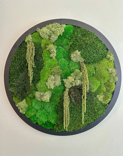 Moss Wall Art Circle Frame | Preserved Moss Art Framed | Moss Wall Decor  | Size is 20" | Reindeer & Sheet Moss | Christmas Gift