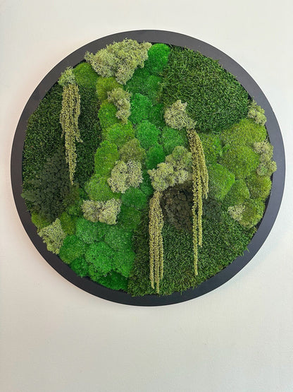 Moss Wall Art Circle Frame | Preserved Moss Art Framed | Moss Wall Decor  | Size is 20" | Reindeer & Sheet Moss | Christmas Gift
