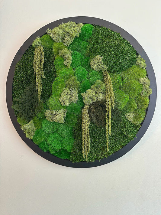 Moss Wall Art Circle Frame | Preserved Moss Art Framed | Moss Wall Decor  | Size is 20" | Reindeer & Sheet Moss | Christmas Gift
