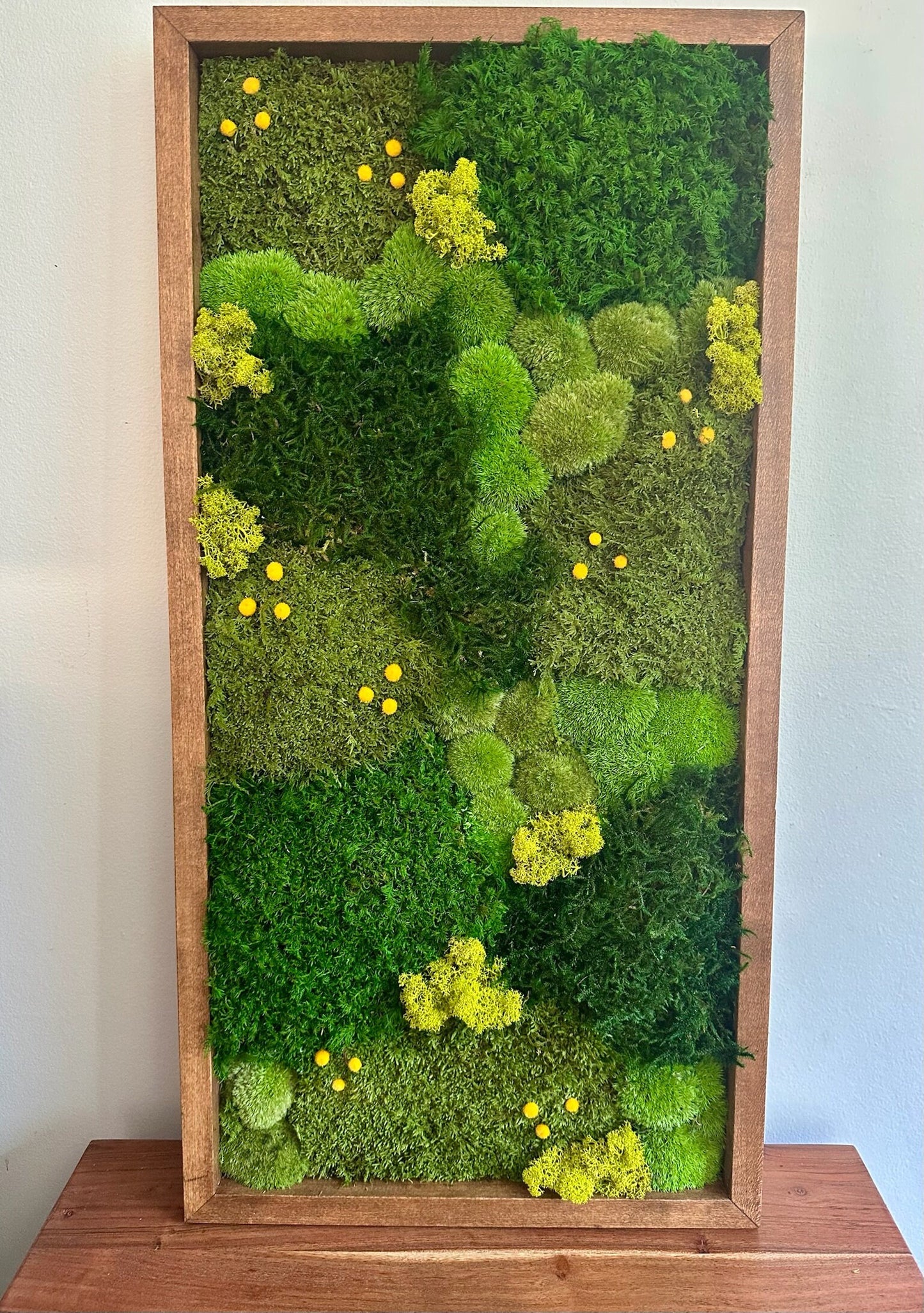 Preserved Moss Wall Art: Lycopodium, Fern & Pole Moss in Wood Frame (15" x 30")