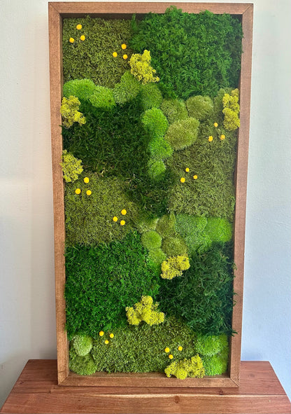 Preserved Moss Wall Art: Lycopodium, Fern & Pole Moss in Wood Frame (15" x 30")