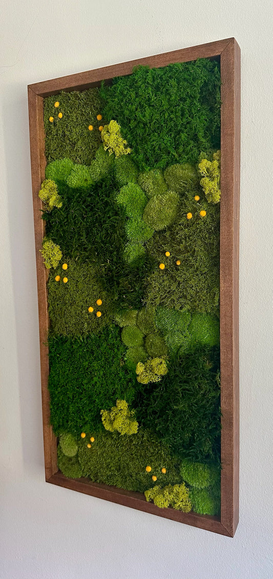 Moss Wall Art | Preserved Moss Art | Moss Wall Decor | Wood Frame Sets | 15" x 30"  Rectangle Set 1 to 4 | Lycopodium Moss, Fern & Pole Moss