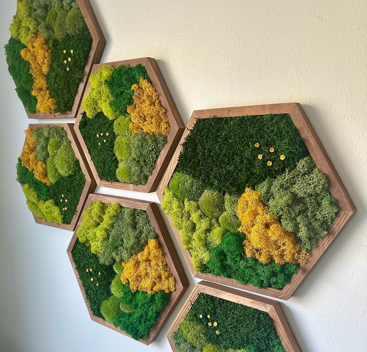 Honeycomb Moss Wall Art: Reindeer & Sheet Moss, Wood Hexagon | USA - TARIFF FREE