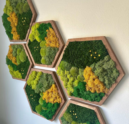 Honeycomb Moss Wall Art: Reindeer & Sheet Moss, Wood Hexagon | USA - TARIFF FREE