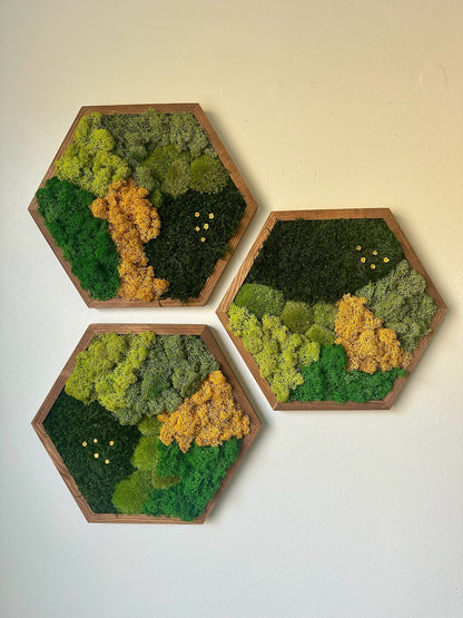 Honeycomb Moss Wall Art: Reindeer & Sheet Moss, Wood Hexagon | USA - TARIFF FREE