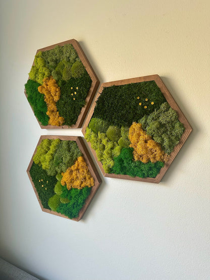 Honeycomb Moss Wall Art: Reindeer & Sheet Moss, Wood Hexagon | USA - TARIFF FREE