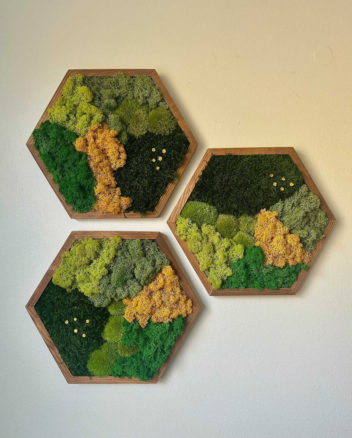 Honeycomb Moss Wall Art: Reindeer & Sheet Moss, Wood Hexagon | USA - TARIFF FREE