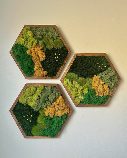 Honeycomb Moss Wall Art: Reindeer & Sheet Moss, Wood Hexagon | USA - TARIFF FREE